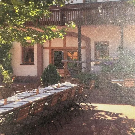 Weinstube Gutshof Ξενοδοχείο Rauenberg (Baden-Wurttemberg)